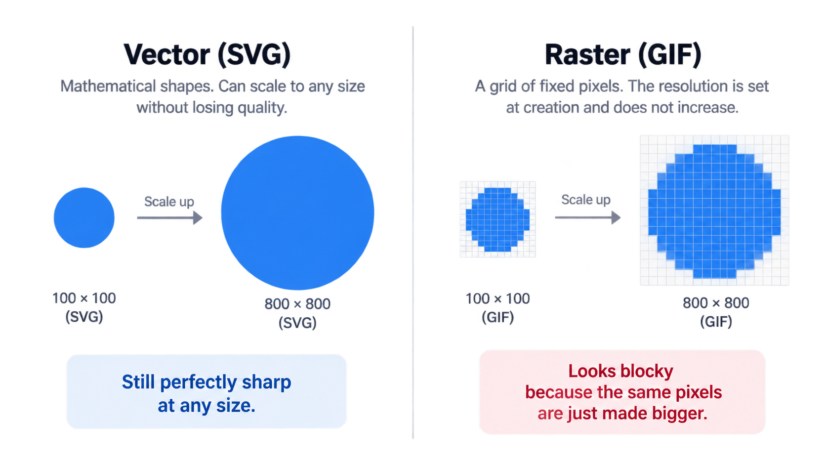Vector SVG scaling versus fixed-pixel GIF raster output